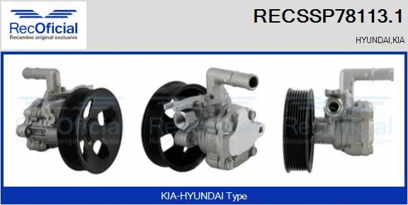 Hydraulic Pump, steering (RECSSP78113.1)
