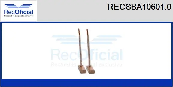 Carbon Brush, alternator (RECSBA10601.0)