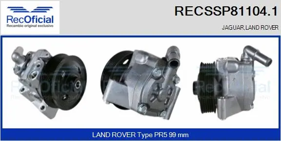Hydraulic Pump, steering (RECSSP81104.1)