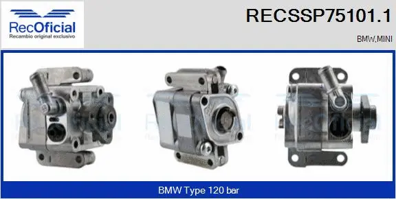 Hydraulic Pump, steering (RECSSP75101.1)