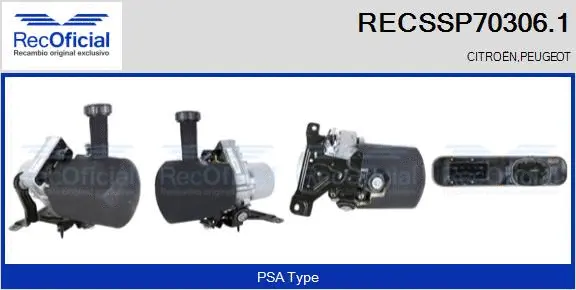 Hydraulic Pump, steering (RECSSP70306.1)