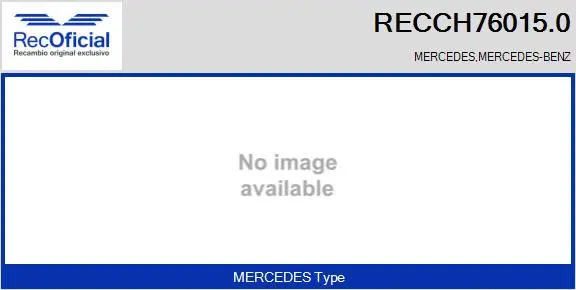 Core assembly, turbocharger (RECCH76015.0)