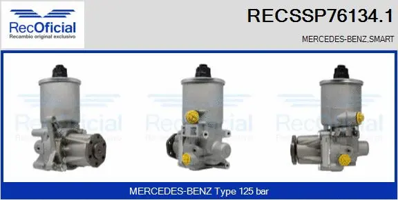 Hydraulic Pump, steering (RECSSP76134.1)