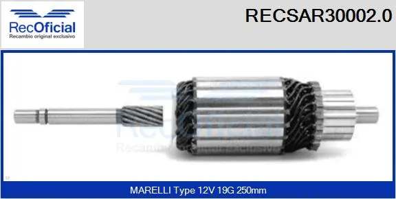 Armature, starter (RECSAR30002.0)