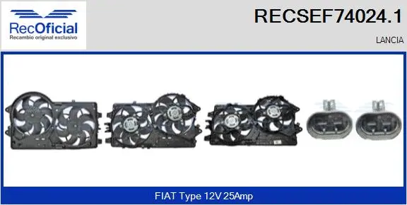 Electric Motor, radiator fan (RECSEF74024.1)
