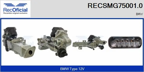 EGR Module (RECSMG75001.0)