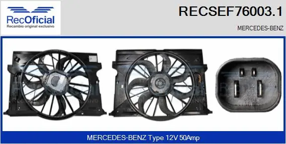 Electric Motor, radiator fan (RECSEF76003.1)