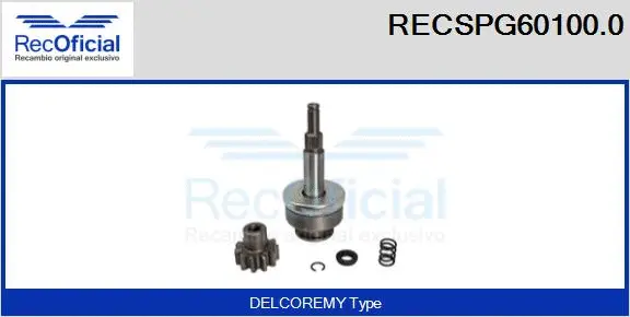 Repair Kit, planetary gearbox starter (RECSPG60100.0)