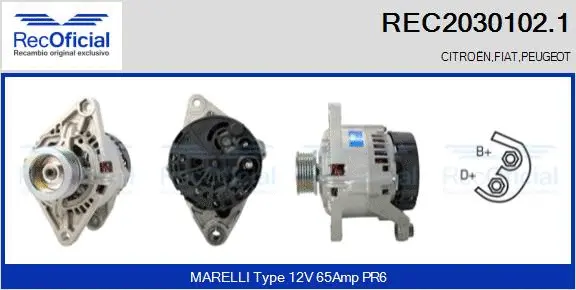 Alternator (REC2030102.1)
