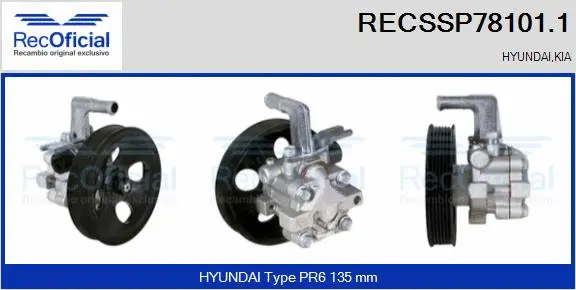 Hydraulic Pump, steering (RECSSP78101.1)