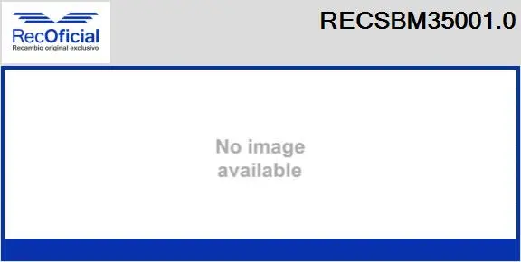 Carbon Brush, starter (RECSBM35001.0)