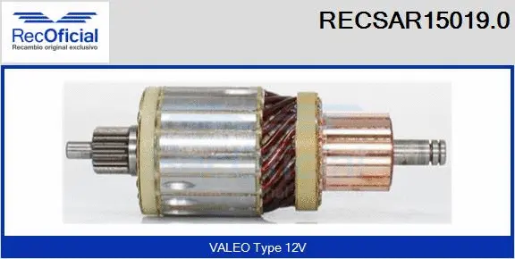 Armature, starter (RECSAR15019.0)