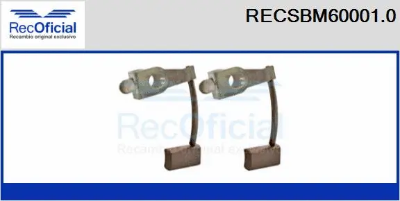 Carbon Brush, starter (RECSBM60001.0)