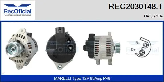 Alternator (REC2030148.1)