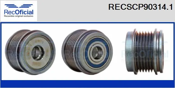Belt Pulley, alternator (RECSCP90314.1)