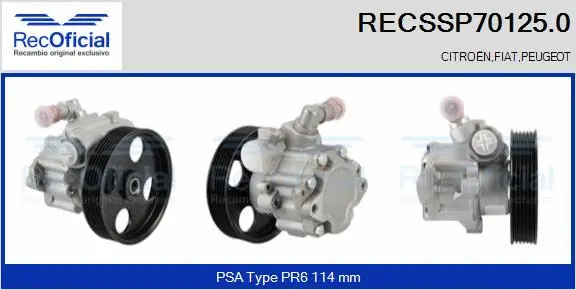 Hydraulic Pump, steering (RECSSP70125.0)