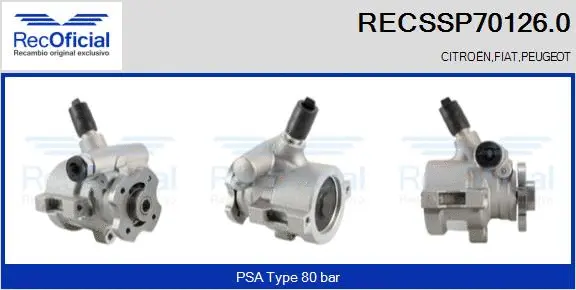Hydraulic Pump, steering (RECSSP70126.0)