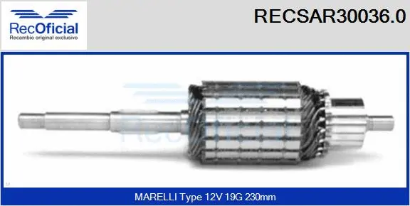 Armature, starter (RECSAR30036.0)