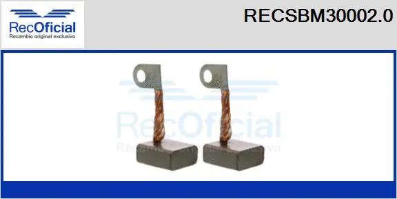 Carbon Brush, starter (RECSBM30002.0)