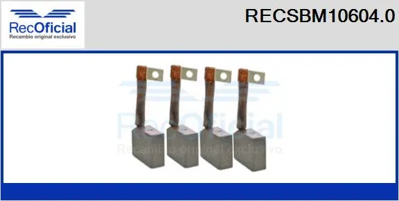 Carbon Brush, starter (RECSBM10604.0)