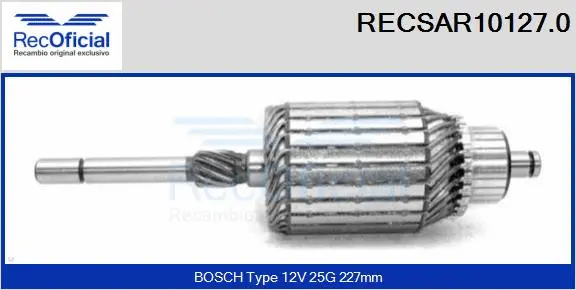 Armature, starter (RECSAR10127.0)