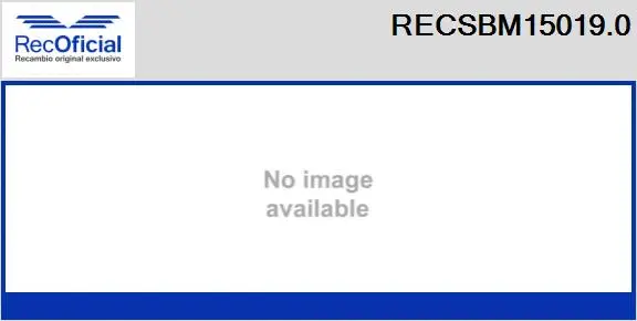 Carbon Brush, starter (RECSBM15019.0)