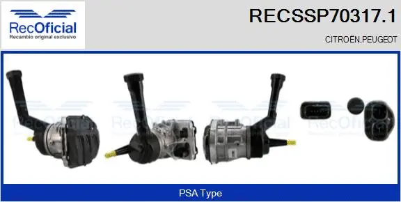 Hydraulic Pump, steering (RECSSP70317.1)