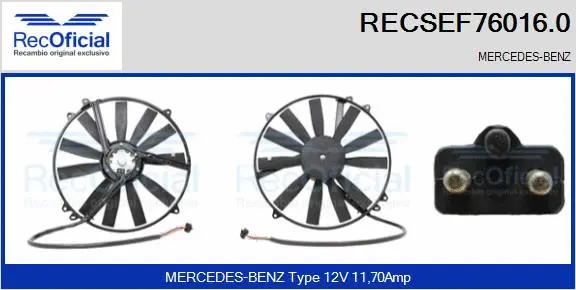 Electric Motor, radiator fan (RECSEF76016.0)