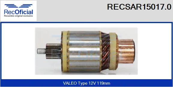 Armature, starter (RECSAR15017.0)