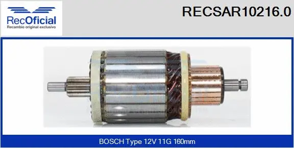 Armature, starter (RECSAR10216.0)