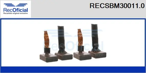 Carbon Brush, starter (RECSBM30011.0)