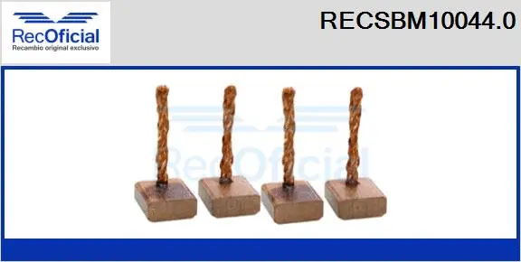 Carbon Brush, starter (RECSBM10044.0)