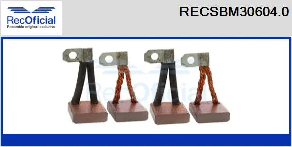 Carbon Brush, starter (RECSBM30604.0)