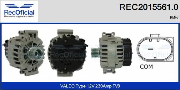 Alternator (REC2015561.0)