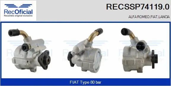 Hydraulic Pump, steering (RECSSP74119.0)