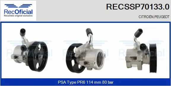 Hydraulic Pump, steering (RECSSP70133.0)