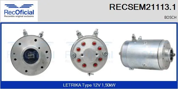 Electric Motor (RECSEM21113.1)
