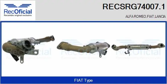 Cooler, exhaust gas recirculation (RECSRG74007.1)