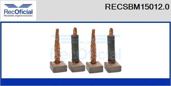 Carbon Brush, starter (RECSBM15012.0)