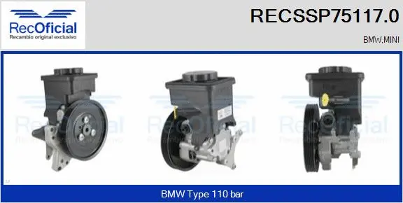 Hydraulic Pump, steering (RECSSP75117.0)