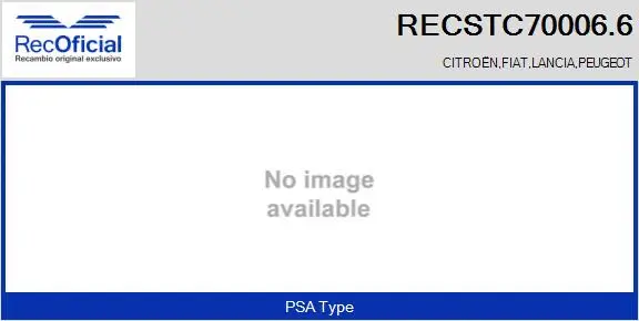 Charger, charging (supercharged/turbocharged) (RECSTC70006.6)