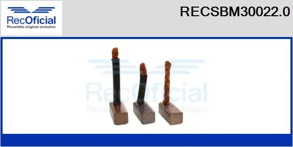 Carbon Brush, starter (RECSBM30022.0)