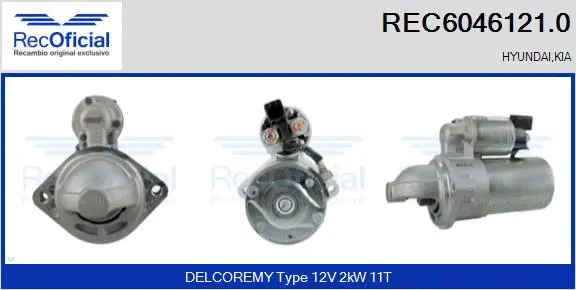 Starter (REC6046121.0)