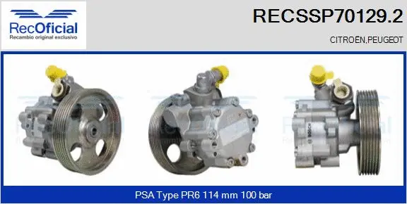 Hydraulic Pump, steering (RECSSP70129.2)