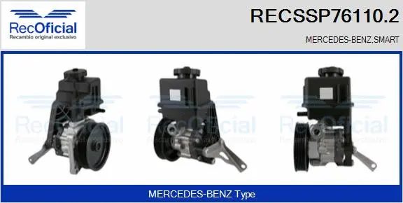 Hydraulic Pump, steering (RECSSP76110.2)