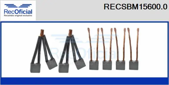Carbon Brush, starter (RECSBM15600.0)