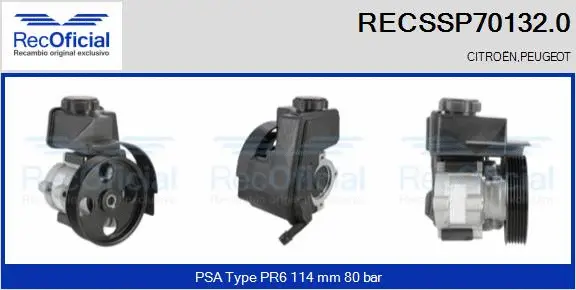 Hydraulic Pump, steering (RECSSP70132.0)
