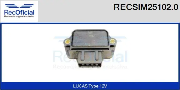 Switch Unit, ignition system (RECSIM25102.0)