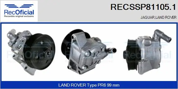 Hydraulic Pump, steering (RECSSP81105.1)