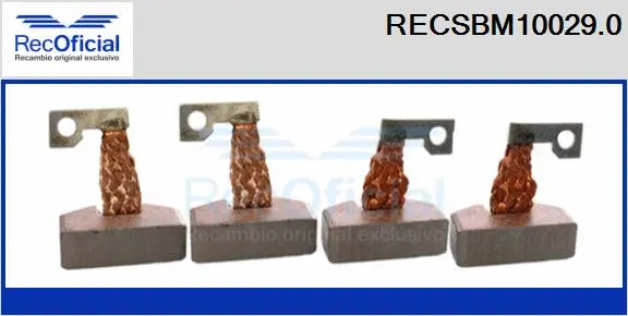 Carbon Brush, starter (RECSBM10029.0)